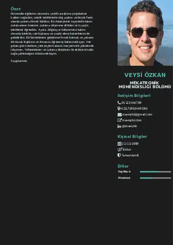 Mekatronik Mühendisliği Cv Örnekleri cv indir